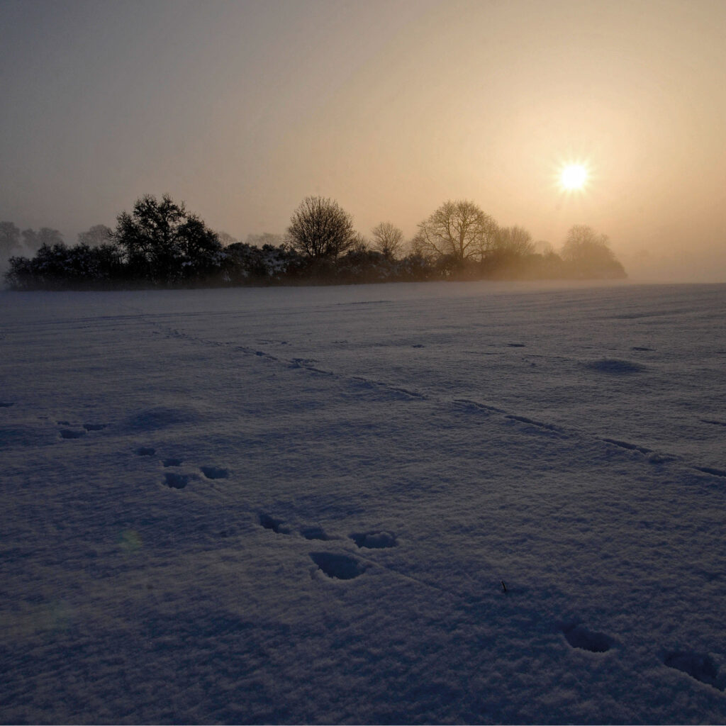 Schneelandschaft in der Uckermark