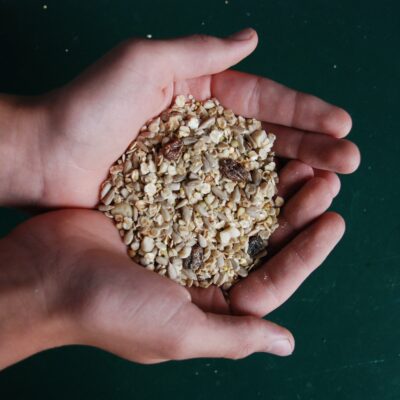Bio-Fettfutter für Vögel